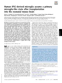 Human Ipsc-Derived Microglia Assume a Primary Microglia-Like State After Transplantation Into the Neonatal Mouse Brain
