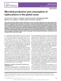 Microbial Production and Consumption of Hydrocarbons in the Global Ocean