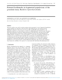 Paternal Bottlenecks in Fragmented Populations of the Grassland Daisy Rutidosis Leptorrhynchoides
