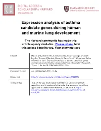 Expression Analysis of Asthma Candidate Genes During Human and Murine Lung Development