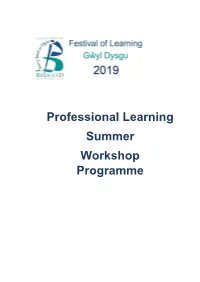 Professional Learning Summer Workshop Programme