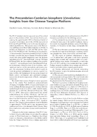 1346 Editorial.Vp