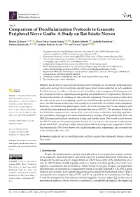 Comparison of Decellularization Protocols to Generate Peripheral Nerve Grafts: a Study on Rat Sciatic Nerves