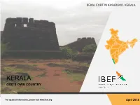 IBEF Presentataion