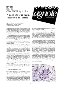 Neospora Caninum Infection in Cattle