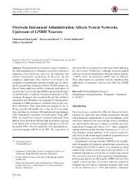 Oxytocin Intranasal Administration Affects Neural Networks Upstream of GNRH Neurons