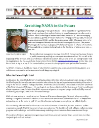 Revisiting NAMA in the Future