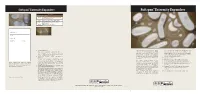 Softspan™ Extremity Expanders Softspan™ Extremity Expanders