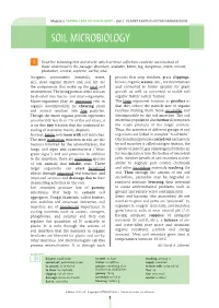 Soil Microbiology