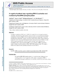 A Negative-Feedback Loop Regulating ERK1/2 Activation and Mediated by Rasgpr2 Phosphorylation