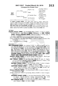 BAY COLT Foaled March 20, 2016