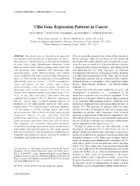 Cilia Gene Expression Patterns in Cancer MAX SHPAK 1,2 , MARCUS M