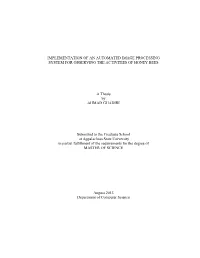 Implementation of an Automated Image Processing System for Observing the Activities of Honey Bees
