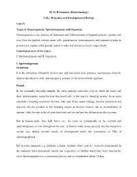 M. Sc II Semester (Biotechnology) Cells, Molecules and Developmental Biology Unit IV Types of Gametogenesis: Spermatogenesis