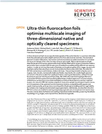 Ultra-Thin Fluorocarbon Foils Optimise Multiscale Imaging of Three
