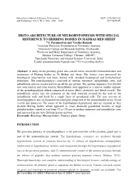 Histo-Architecture of Neurohypophysis with Special Reference to Herring Bodies in Madras Red Sheep 1*S
