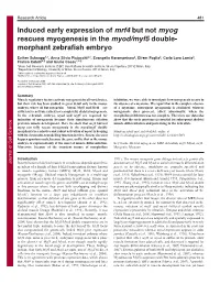 Induced Early Expression of Mrf4 but Not Myog Rescues Myogenesis in the Myod/Myf5 Double- Morphant Zebrafish Embryo