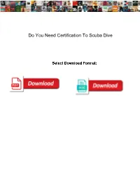 Do You Need Certification to Scuba Dive