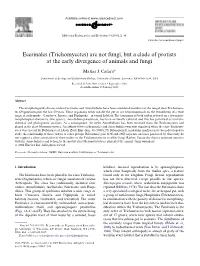 Eccrinales (Trichomycetes) Are Not Fungi, but a Clade of Protists at the Early Divergence of Animals and Fungi