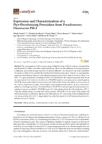Expression and Characterization of a Dye-Decolorizing Peroxidase from Pseudomonas Fluorescens Pf0-1