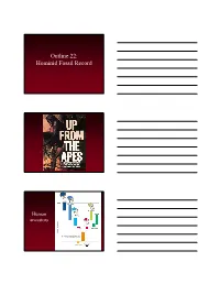 Outline 22: Hominid Fossil Record