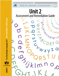 Phonics Progress Monitoring: Sound-Spellings Word Recognition Assessments