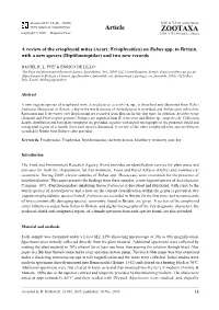 A Review of the Eriophyoid Mites (Acari: Eriophyoidea) on Rubus Spp. in Britain, with a New Species (Diptilomiopidae) and Two New Records