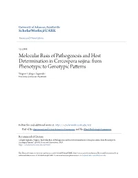 Molecular Basis of Pathogenesis and Host Determination in Cercospora