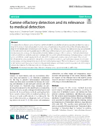 Canine Olfactory Detection and Its