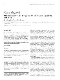 Case Report Mineralisation of the Biceps Brachii Tendon in a 6-Year-Old Cob Mare S