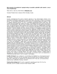 ERG Promotes Transcriptional Reprogramming of Prostatic Epithelial Cells Toward a Cancer Stem Cell Phenotype