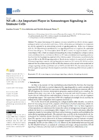 NF-B—An Important Player in Xenoestrogen Signaling in Immune
