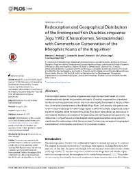 Redescription and Geographical Distribution Of