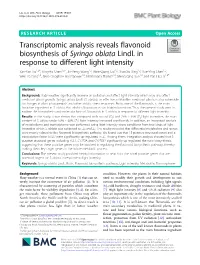 Transcriptomic Analysis Reveals Flavonoid Biosynthesis of Syringa Oblata Lindl