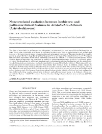 And Pollinator-Linked Features in Aristolochia Chilensis (Aristolochiaceae)