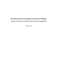 Genetic Analysis of Production Traits to Support Breeding Programs Utilizing Indigenous Chickens in Ethiopia