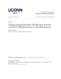 Characterizing Restriction-Modification Systems