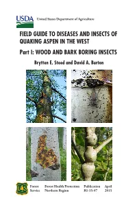 FIELD GUIDE to DISEASES and INSECTS of QUAKING ASPEN in the WEST Part I: WOOD and BARK BORING INSECTS Brytten E