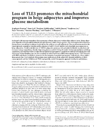 Loss of TLE3 Promotes the Mitochondrial Program in Beige Adipocytes and Improves Glucose Metabolism