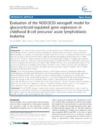 Evaluation of the NOD/SCID Xenograft Model for Glucocorticoid-Regulated