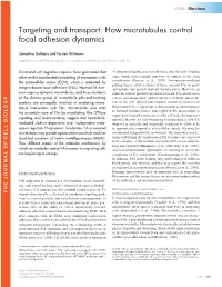 How Microtubules Control Focal Adhesion Dynamics