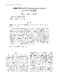 Pseudomonas Cichorii