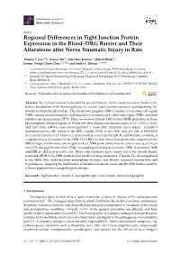 Regional Differences in Tight Junction Protein Expression in the Blood–DRG Barrier and Their Alterations After Nerve Traumatic