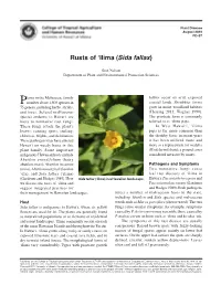Rusts of 'Ilima (Sida Fallax)