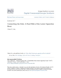 Connecting the Dots: a Food Web of the Lower Ogeechee River