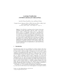 Learning Classification with Both Labeled and Unlabeled Data
