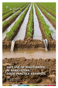 Safe Use of Wastewater in Agriculture: Good Practice Examples