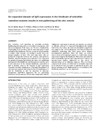 Val, Fgf3 and Inner Ear Patterning 5281