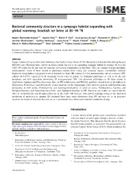 Bacterial Community Structure in a Sympagic Habitat Expanding with Global Warming: Brackish Ice Brine at 85Â€“90 °N