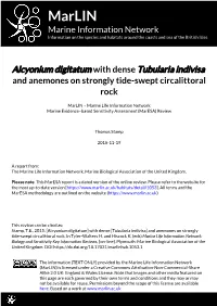 Download PDF Version